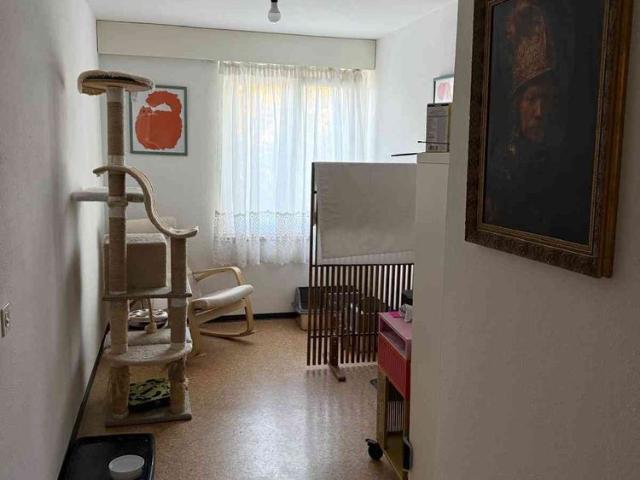 3.5 Zimmer, 67 m², 1. Stock