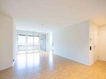 Riethüsli, Sankt Gallen, Wahlkreis St Gallen, Kanton Sankt Gallen