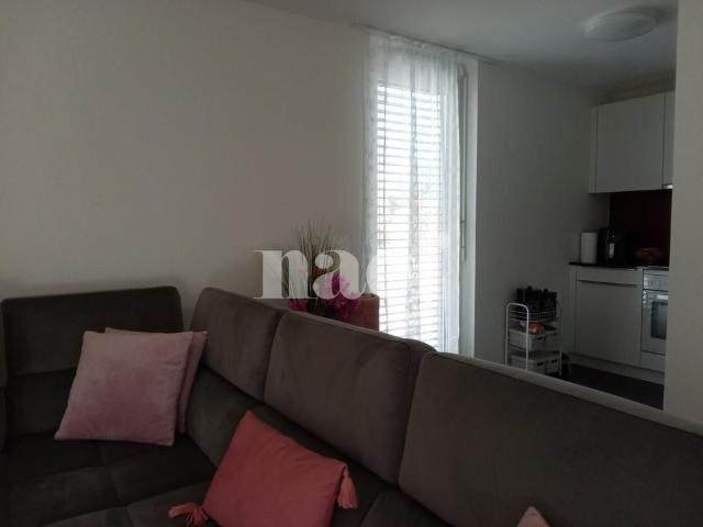 3.5 Zimmer, 63 m², EG