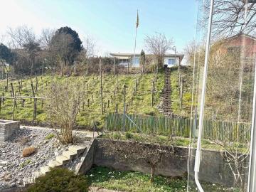 3.5 Zimmer, 75 m²