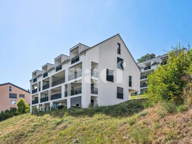 3.5 Zimmer, 77 m²
