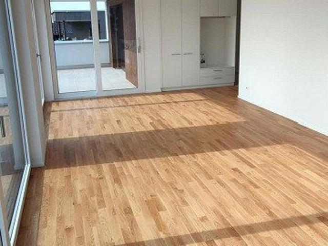 3.5 Zimmer, 77 m²