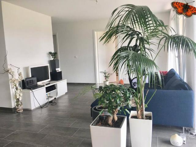 3.5 Zimmer, 77 m², EG