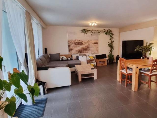 3.5 Zimmer, 79 m², EG