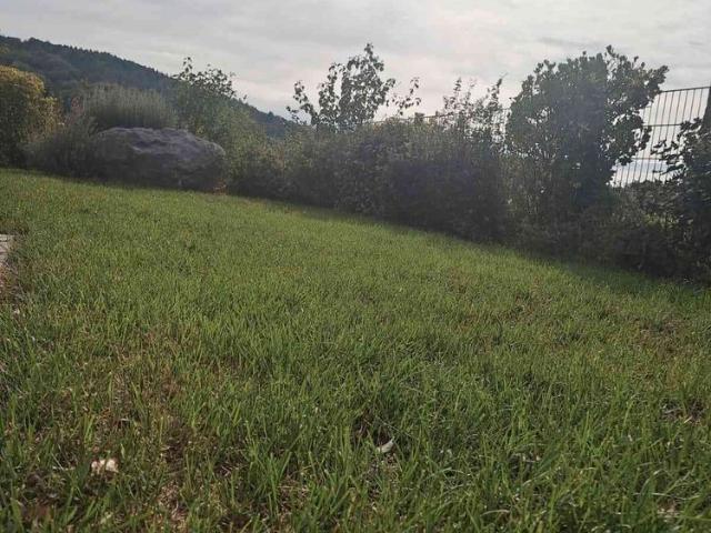 3.5 Zimmer, 70 m², EG