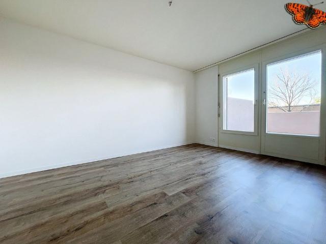 3.5 Zimmer, 84 m², EG