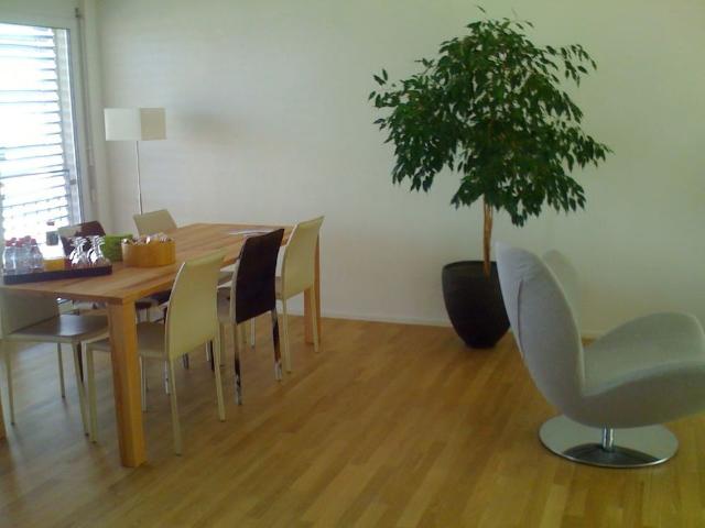 3.5 Zimmer, 85 m², 3. Stock