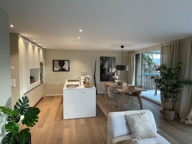 3.5 Zimmer, 99 m², EG