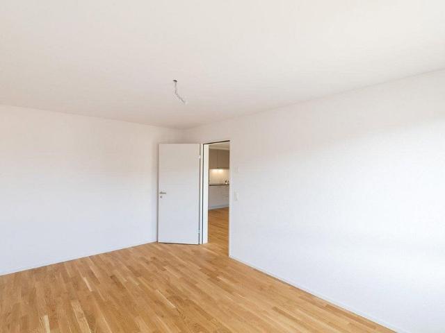 3.5 Zimmer, 90 m², EG