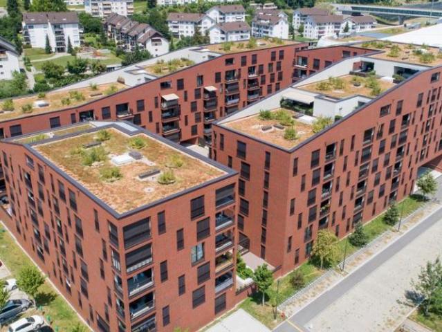 3.5 Zimmerwohnung im 5. OG