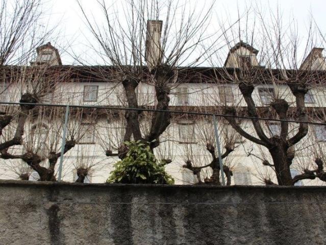 3,5 Zimmerwohnung im Erdgeschoss mit besondrem Wohnambiente und Parkanlage / 3,5 Zimmer Wohnung PT mit Park