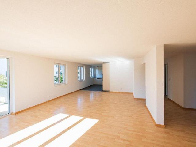 3.5 Zimmerwohnung in Schaffhausen