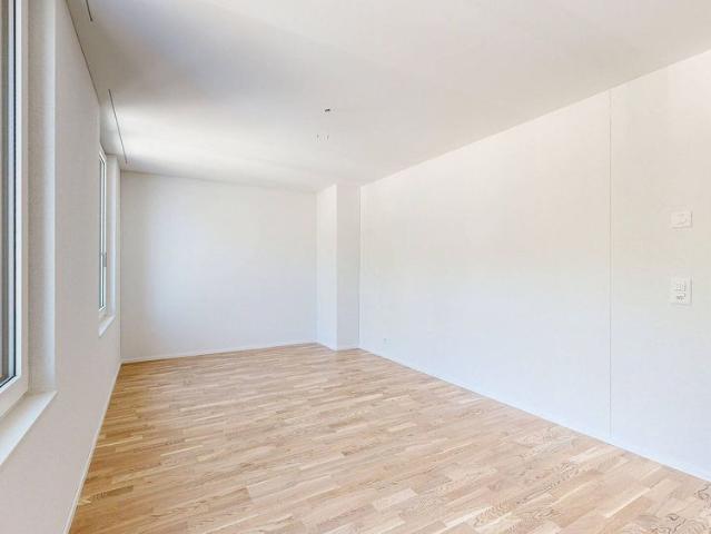3.5 Zimmerwohnung mit Blick ins GRÜNE