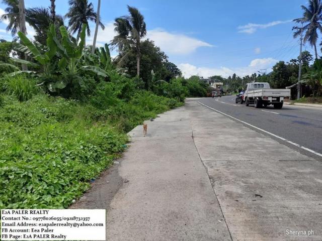 3. 6 hectares Lot for sale