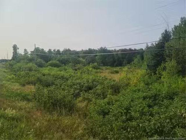 3.7 Acres Route 180, South Tetagouche, NB, E2A 7G2 vacant la.