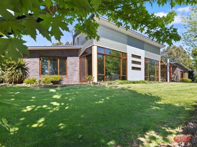 3.95 ACRES OF NORTH FACING PARADISE WITH DUAL OCCUPANCY POTENTIAL!