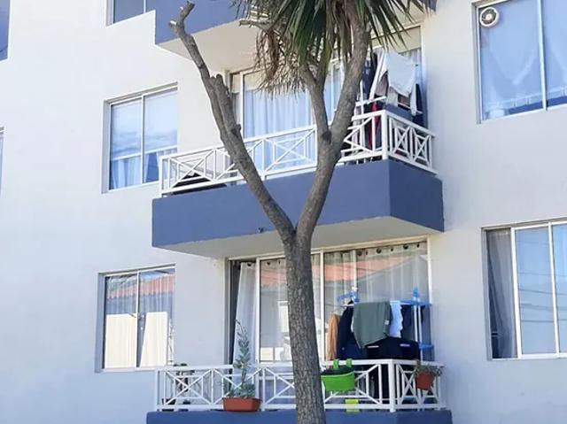 3d 2b. Paso Hondo, Condominio Bello Horizonte Como Nuevo