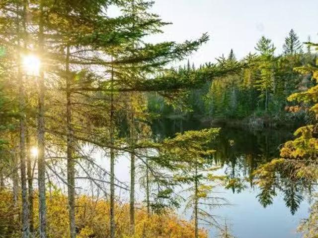 3E Avenue St Vincent, Sainte Béatrix, QC, J0K 1Y0 vacant lan.