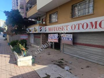 Çukurova, Adana ili, Akdeniz Bölgesi - Ofis odası