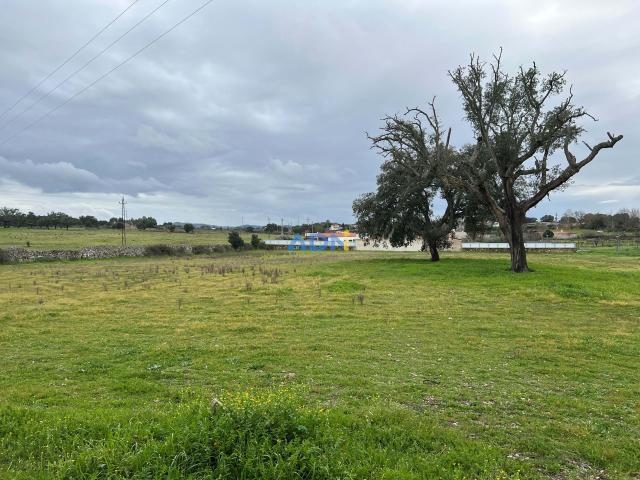 3HA de terreno em Alcains