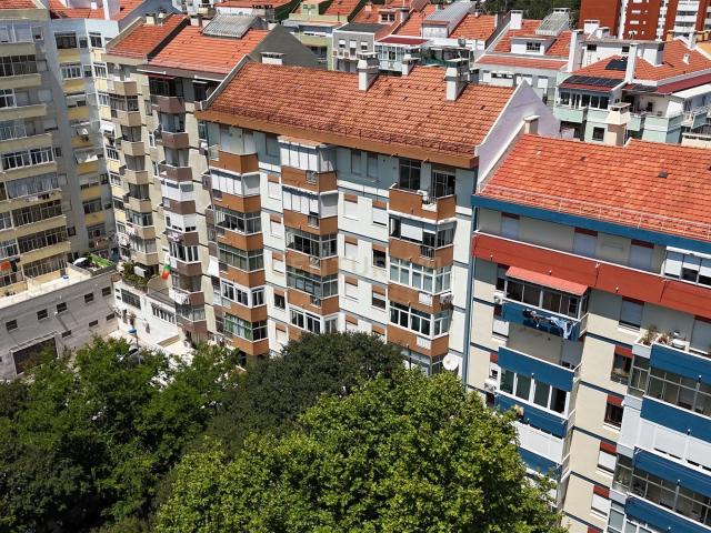 T3 Totalmente Remodelado nas Laranjeiras | Conforto, Elegânc. 91m² São Domingos De Benfica