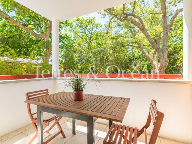 T3 Tout Equipe, Entre Lac Et Océan 63m² Soorts Hossegor
