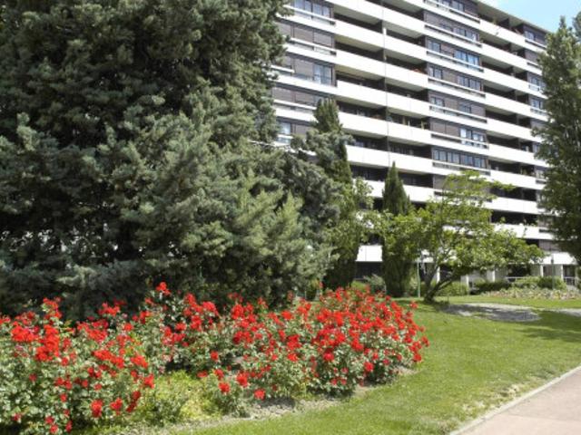 T3 à Grenoble à louer Locagestion, expert en gestion locative