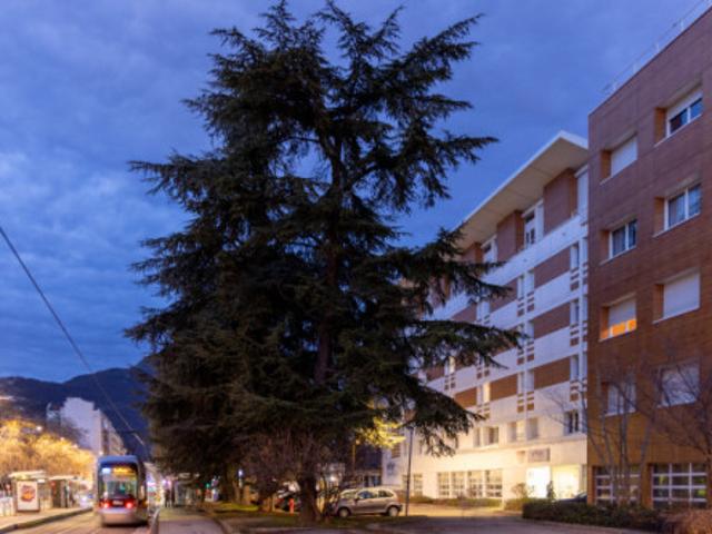 T3 à Grenoble à louer Locagestion, expert en gestion locative