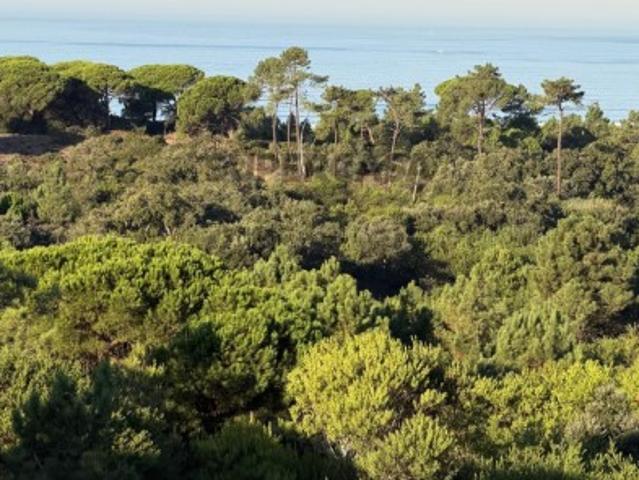 T3 Duplex com Vista Panorâmica | Quinta de Santa Teresa, Charneca de Caparica