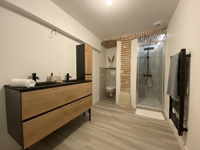 Grand T3 meublé de 67 m² TOULOUSE CENTRE Disponible