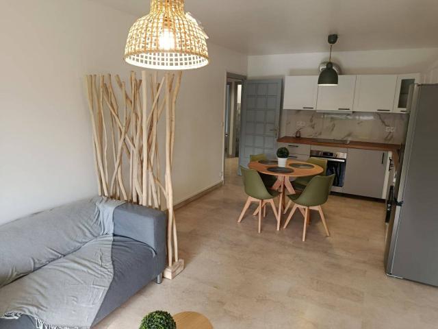 T3 meublé rénové terrasse et garage