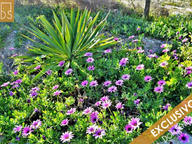T3 Rchão Moradia Mobilado Lareira Cozinha totalmente equipada Jardim 60m2 Pátio Privativo 70m2 com barbecue