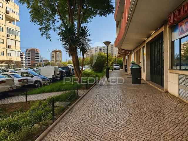 T3 remodelado com 117 m² | piso alto com elevador | entrecampos