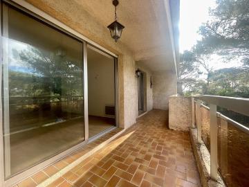 Centre de Saint-Raphaël - Jardin, Cave