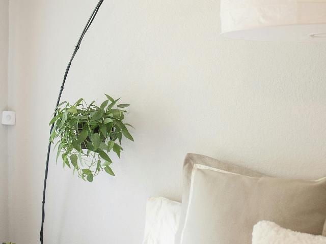 T3 Rez de Jardin Cranves Sales 74380 Garage et Cave