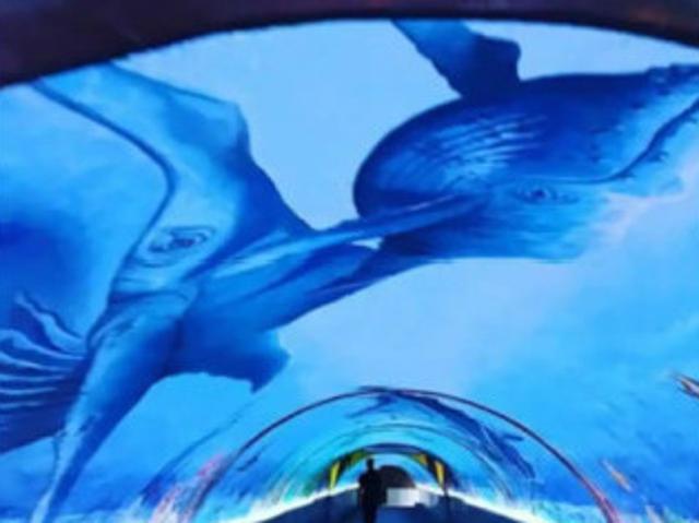 T1 à Cannes à louer Locagestion, expert en gestion locative