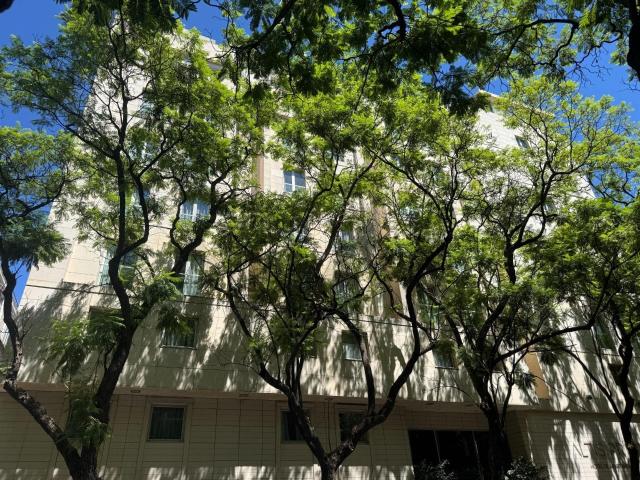 T1 no Altis Prime, junto à Avenida da Liberdade 65m² Santo António