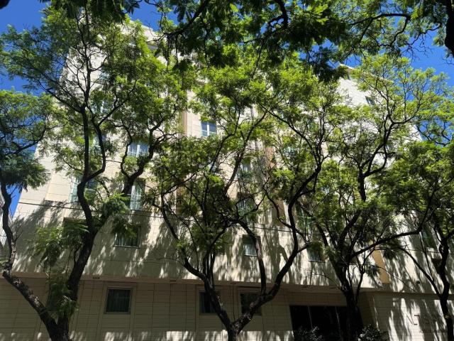 T1 no Altis Prime, junto à Avenida da Liberdade 65m² Santo António