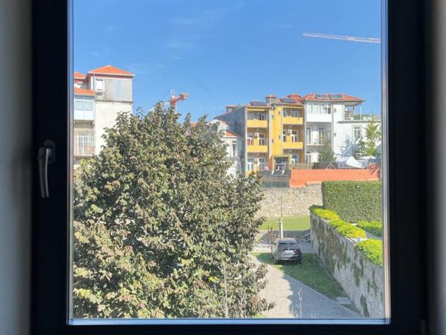 T1 Porto 2D