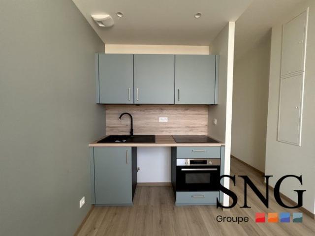 T1 RENOVE A NEUF HYPER CENTRE VILLE
