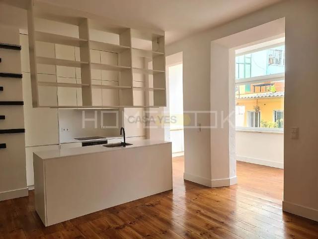 T2+1 remodelado com jardim em Arroios