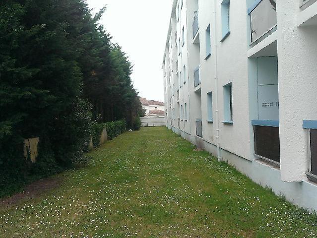T2