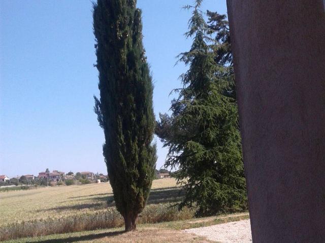 T2 55m2 Independant au calme Saint hilaire de brethmas