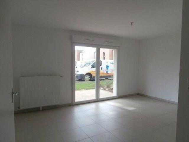 T2