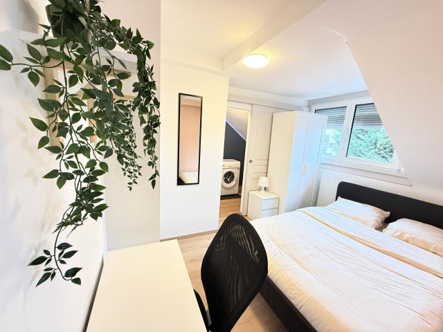 T2 TOTALEMENT RENOVE CRONENBOURG SAINT FLORENT