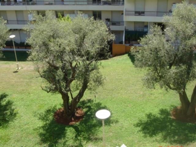 T2 à Antibes à louer Locagestion, expert en gestion locative