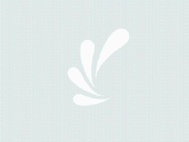 T2 à Toulouse à louer Locagestion, expert en gestion locative