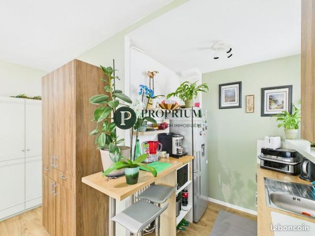 Appartement T2 rénové en rez de jardin secteur PERSHING