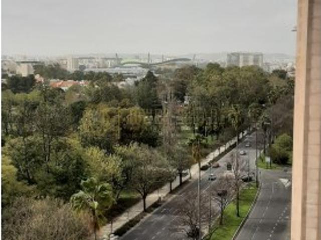 T2 Excelente no Campo Grande, 10 andar, vista sobre a cidade