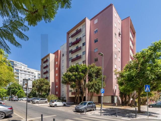T2 in Alvalade for rent